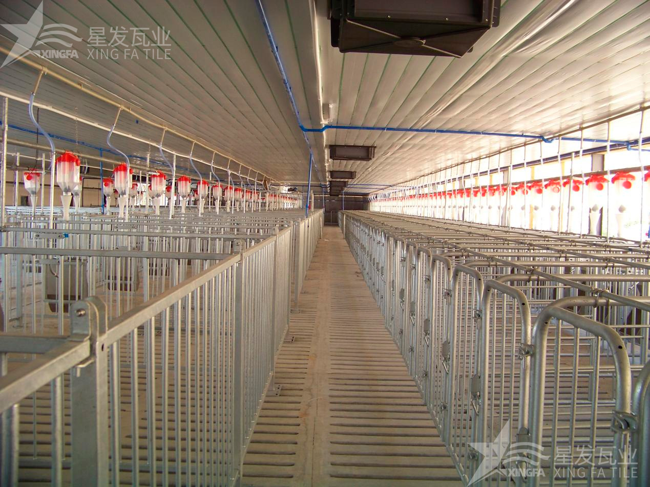 炎炎夏日即將來臨，為什么養(yǎng)殖場(chǎng)越來越多地選擇PVC瓦？