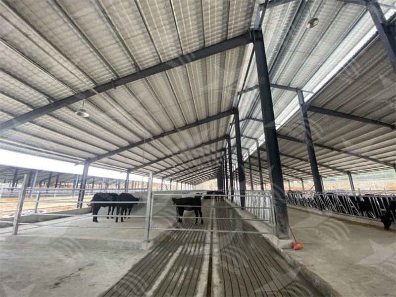 樹脂瓦：養(yǎng)殖場的夏日守護(hù)者，為小動物打造涼爽樂園